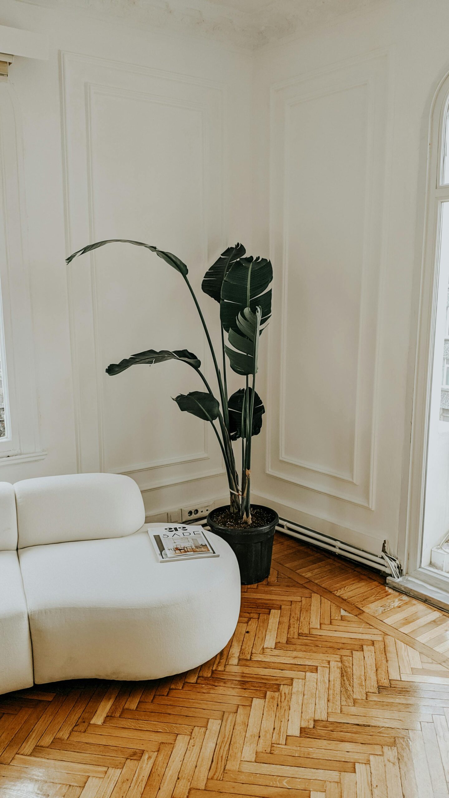 A bright minimalist living space with a white couch and potted plant.